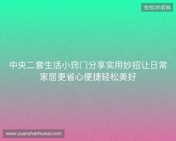 中央二套生活小窍门分享实用妙招让日常家居更省心便捷轻松美好